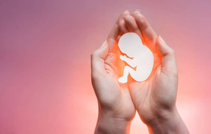 عباس شفیعی - بهترین وکیل در مشهد - محیا حق توس - مراحل قانونی اهدای جنین