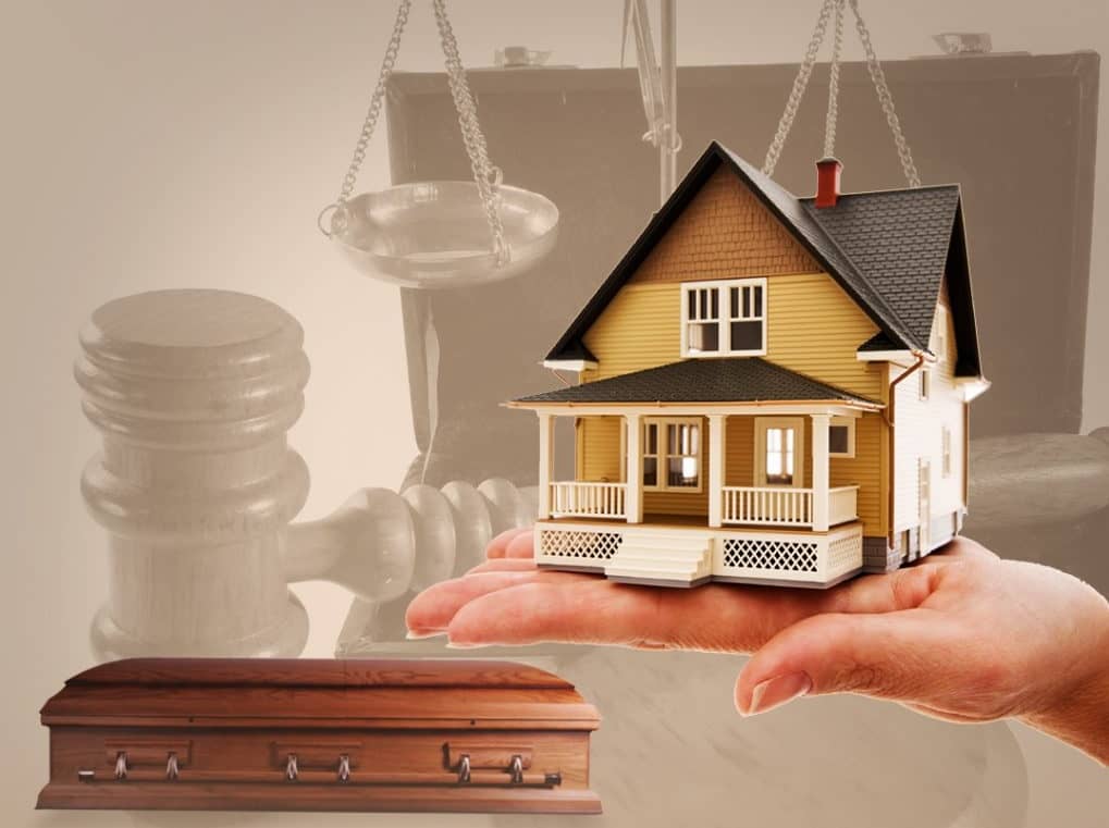 عباس شفیعی - بهترین وکیل در مشهد - محیا حق توس - وکیل تحریر و مهر و موم ترکه