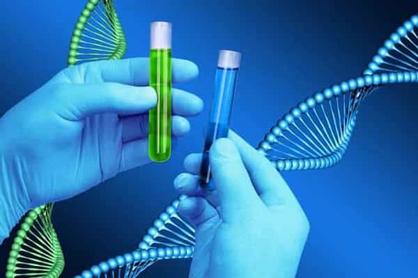 عباس شفیعی - بهترین وکیل در مشهد - محیا حق توس - نسب وشرایط آن