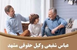 بهترین وکیل حقوقی در مشهد