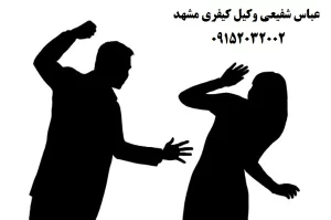 بهترین وکیل خشونت خانگی در مشهد