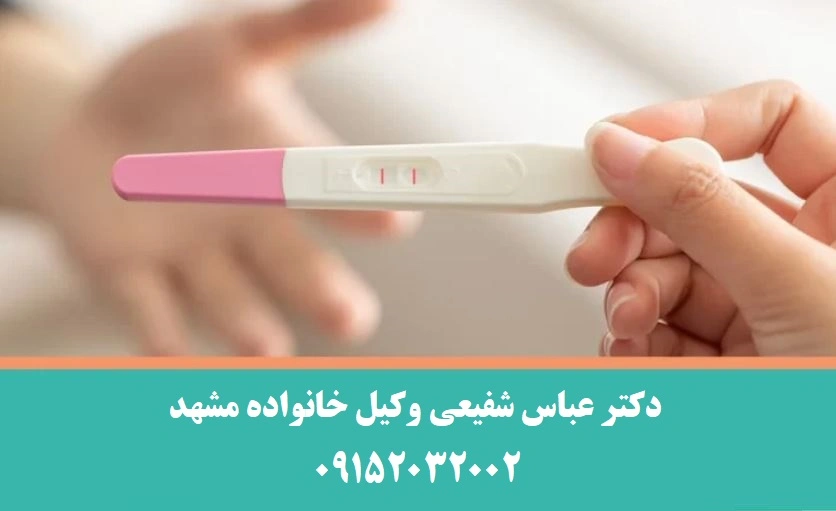 بهترین وکیل طلاق در بارداری